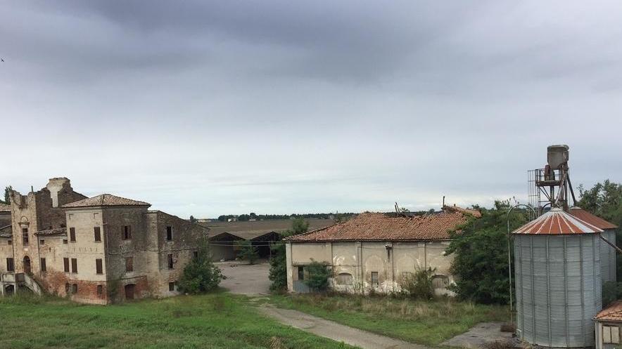 Cgil: «Allevamento di maiali ok se fossero trasparenti i bilanci»