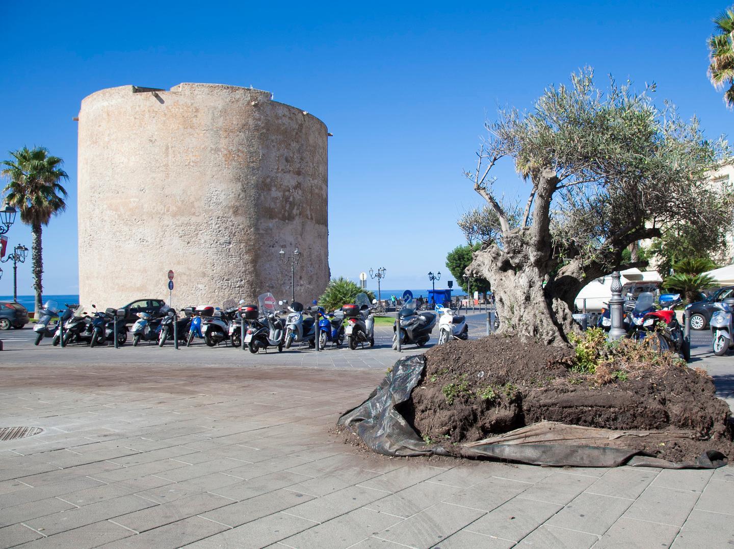 «Perché il circo sì e le granite no?» 