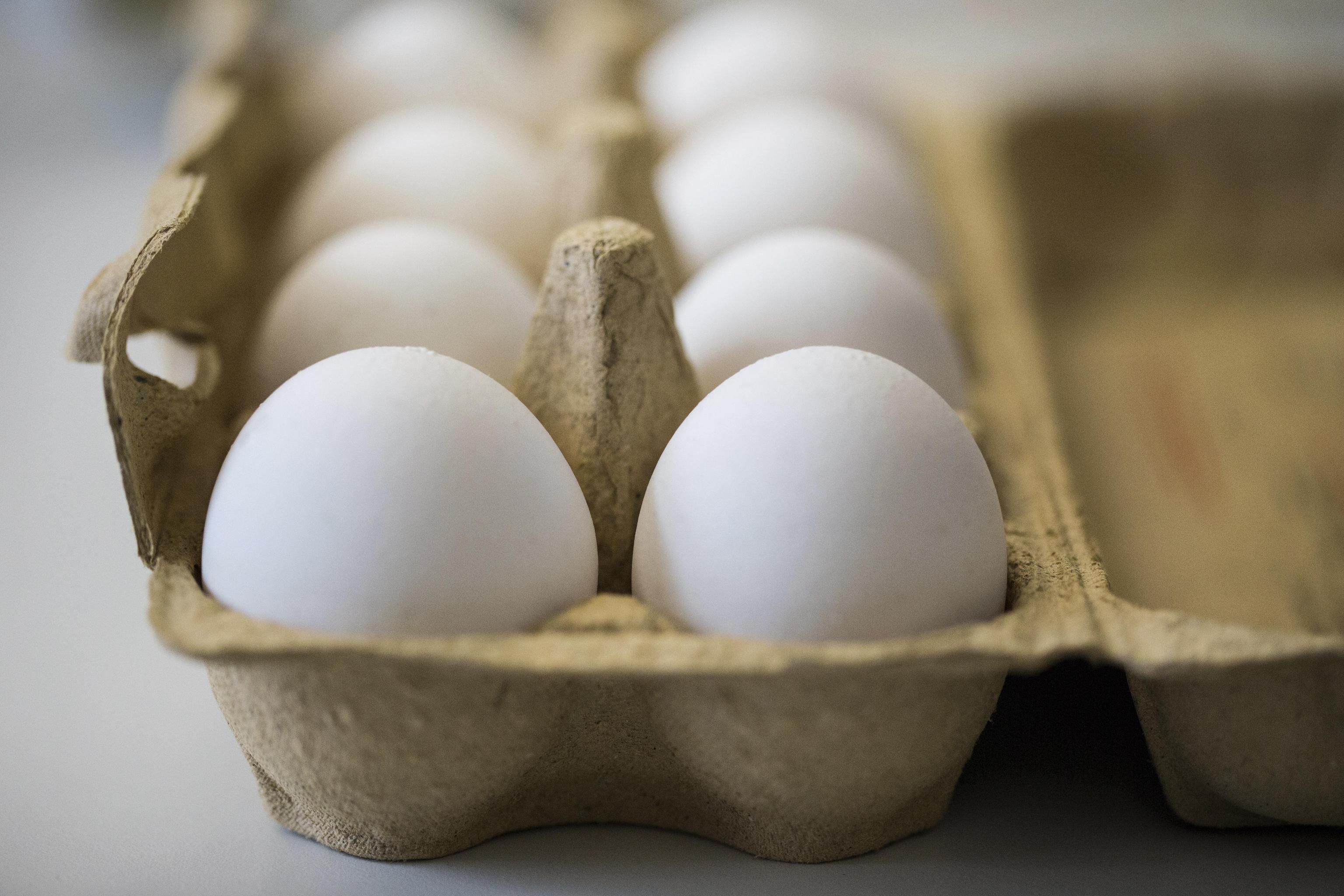 Sardegna, allarme Fipronil: ritirata dai supermercati una partita di uova contaminate