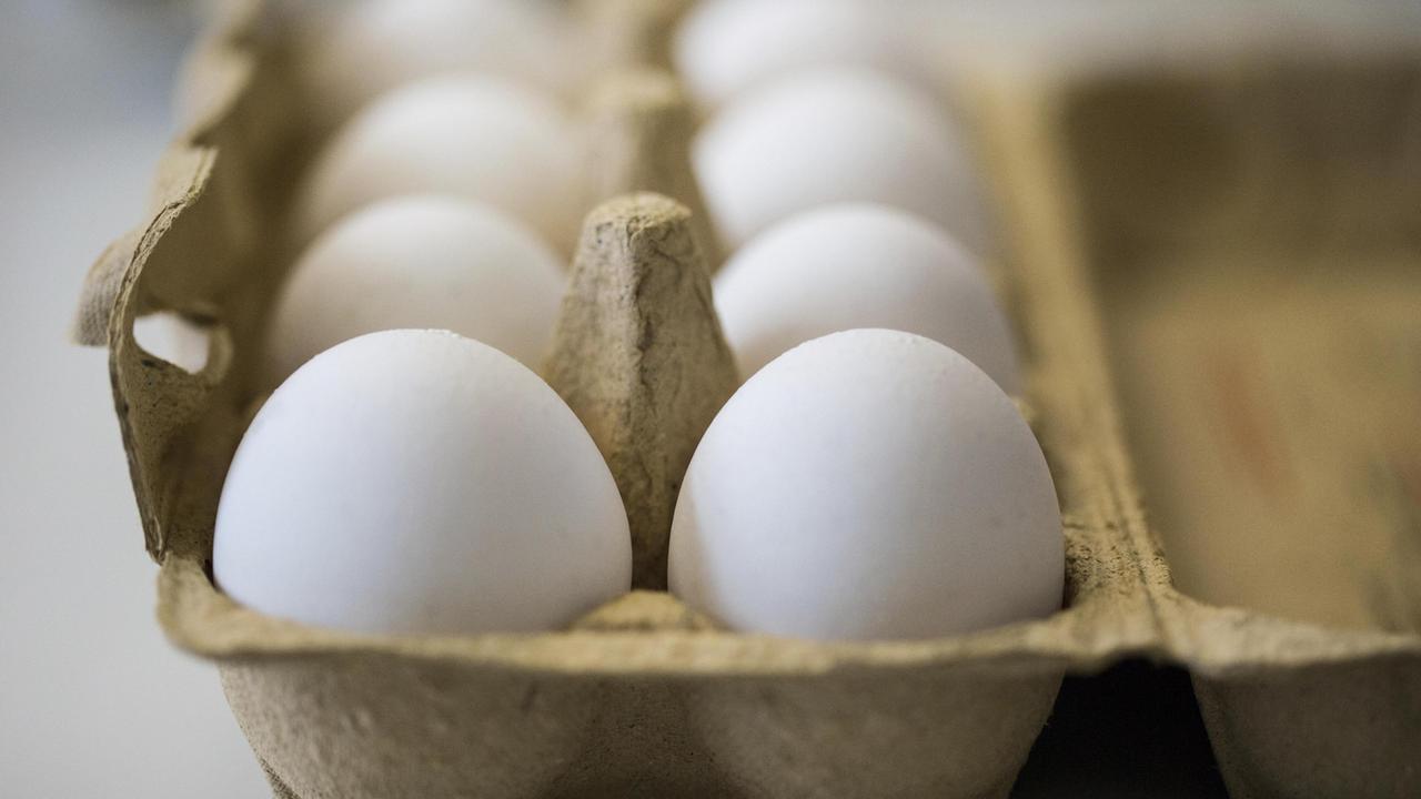 Sardegna, allarme Fipronil: ritirata dai supermercati una partita di uova contaminate