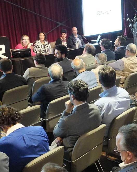 Chiara Fiore neo presidente degli ingegneri 