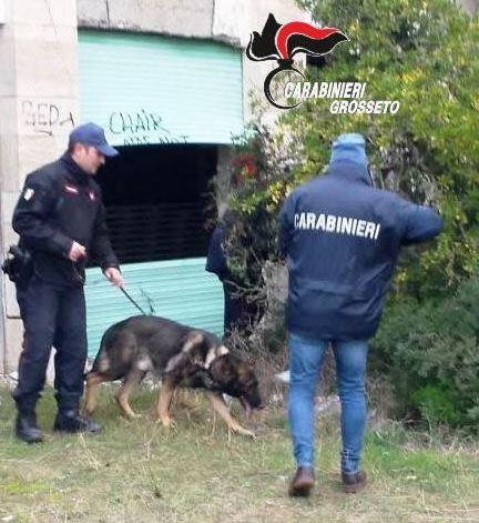 Droga, tre arresti per cocaina e marijuana 