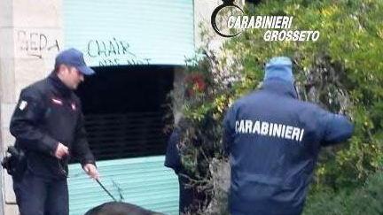 Droga, tre arresti per cocaina e marijuana