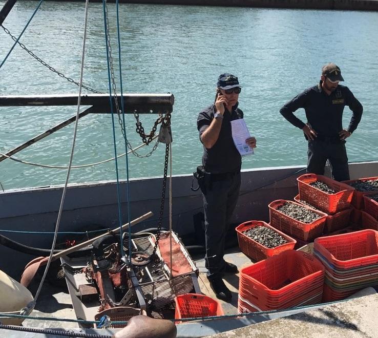 Sorpreso a rubare vongole lascia la barca e scappa 