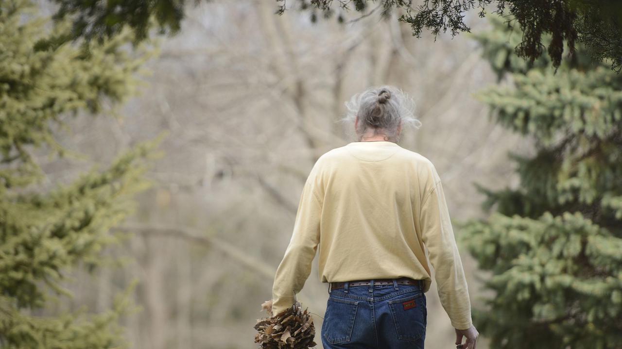 Giornata dell'Alzheimer, viaggi simulati per frenare il morbo: le nuove terapie non farmacologiche