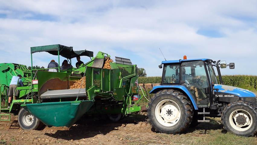 Le aziende agricole fanno gruppo per crescere
