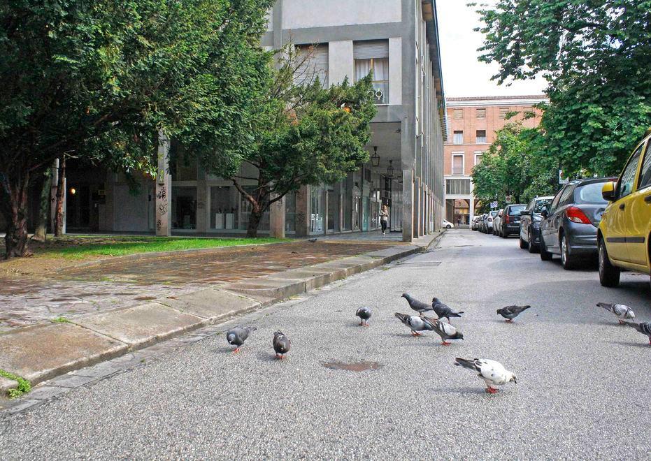 Tre aree e una strada il Comune “blinda” le sue eccellenze 