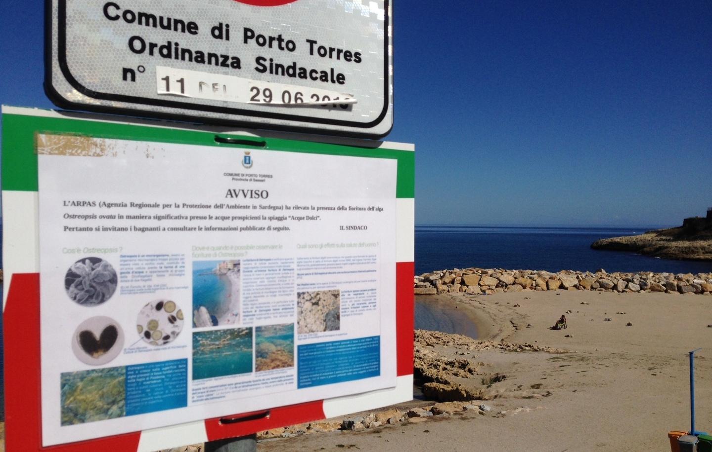 Arpas rileva l’alga Ostreopsis ecco le precauzioni da seguire