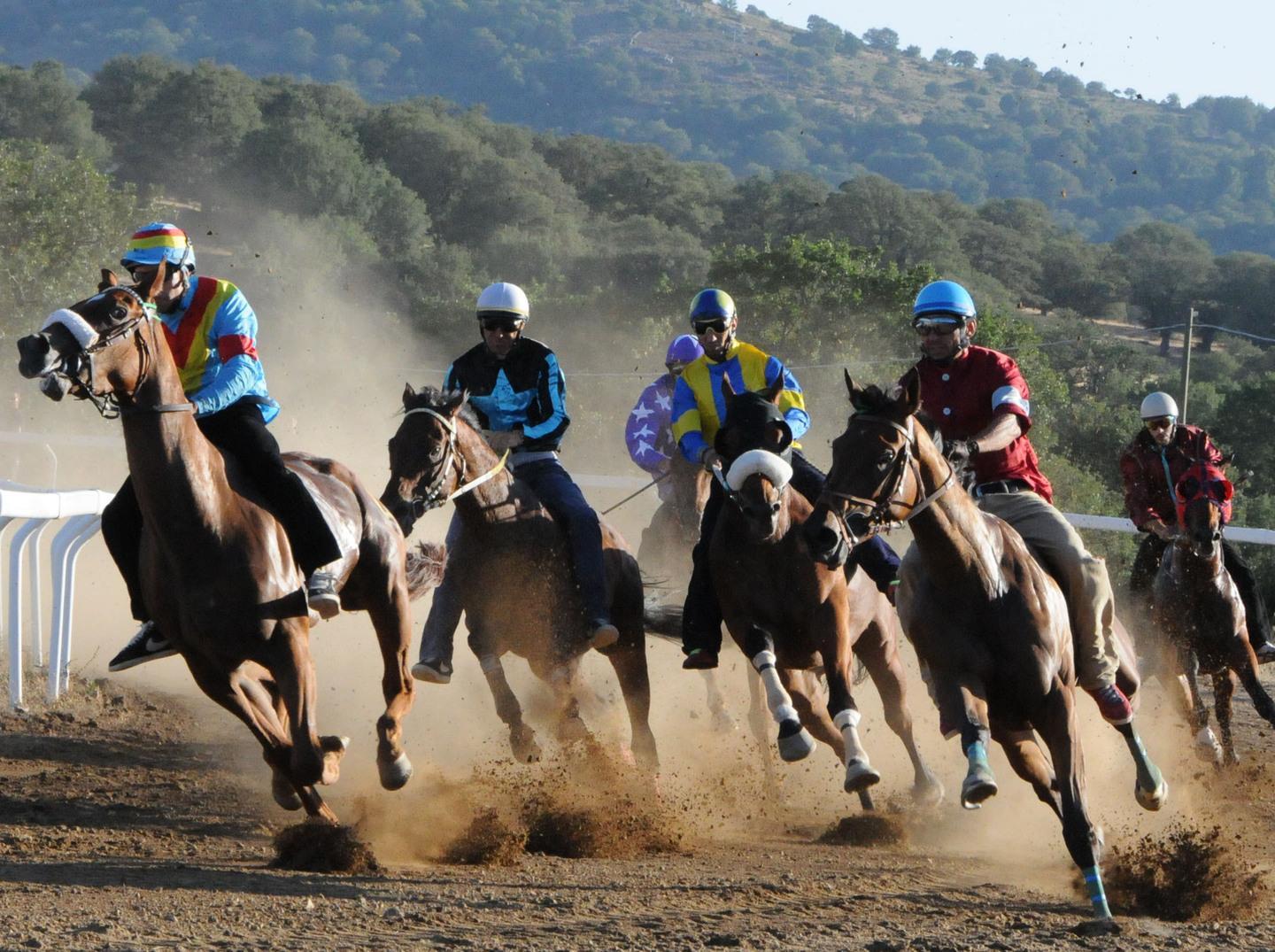 Anche Frankie, Tittia e Atzeni tra le star del Palio di Nurri