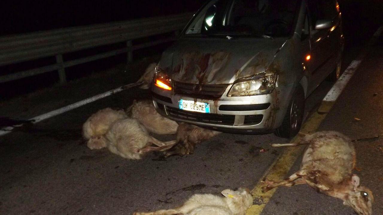 L'auto danneggiata nell'incidente sulla Sassari-Alghero