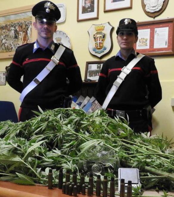 Coltiva marijuana: nei guai
