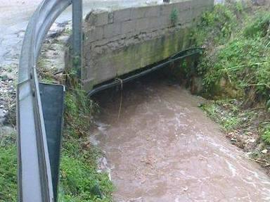 «Paghiamo regolarmente ma qui niente pulizia dei fossi» 
