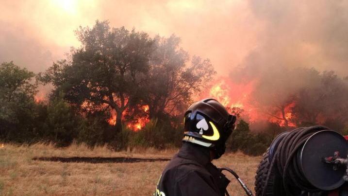 A farne le spese bosco e macchia