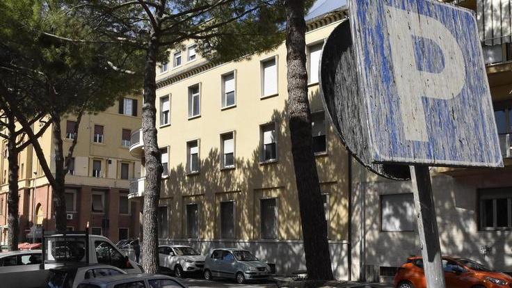 Guano degli storni «Senza dissuasori la pulizia è inutile»