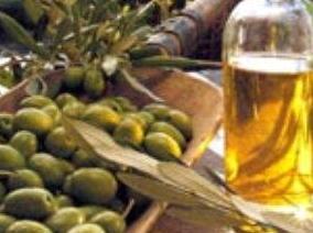Il brutto anno dell’extravergine lunigianese 