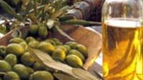 Il brutto anno dell’extravergine lunigianese