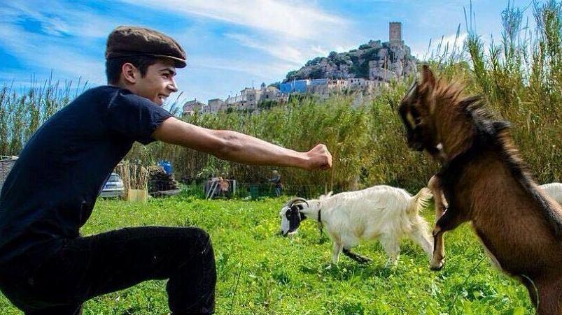 Posada, il rito di “sa paradura” per aiutare il pastorello 17enne