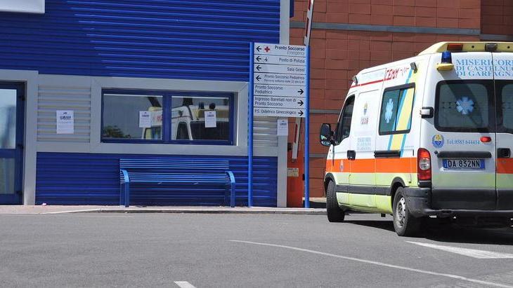 Morsa da un ragno in vacanza, le salvano la vita al “Versilia”