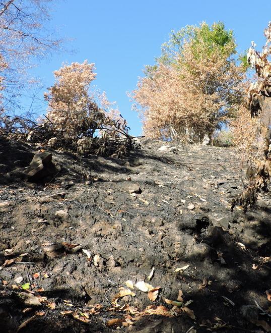 Restano le ferite del fuoco, e adesso fanno paura le frane 