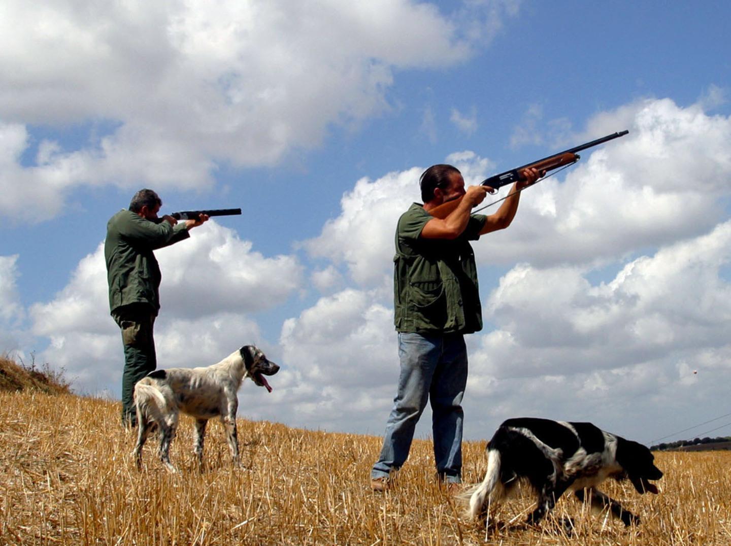 Invito a Pigliaru: fermare la caccia