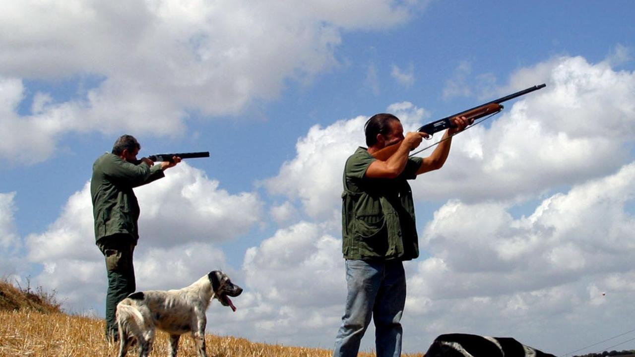 Invito a Pigliaru: fermare la caccia