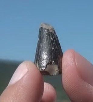 Storia dell’antico Sarcidano dove nuotavano i coccodrilli