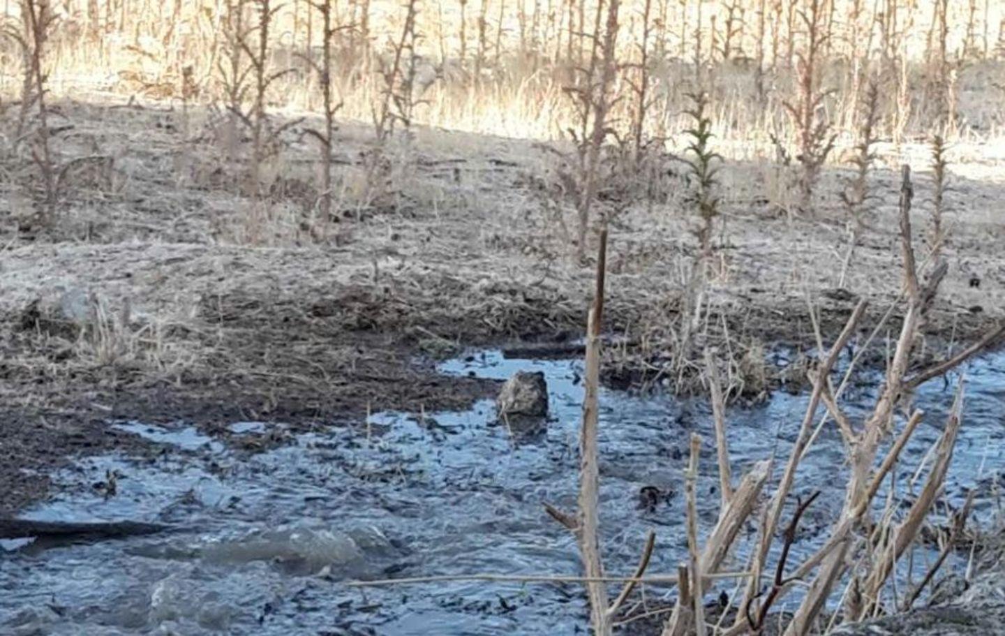 Azienda in balia di una fogna a cielo aperto 
