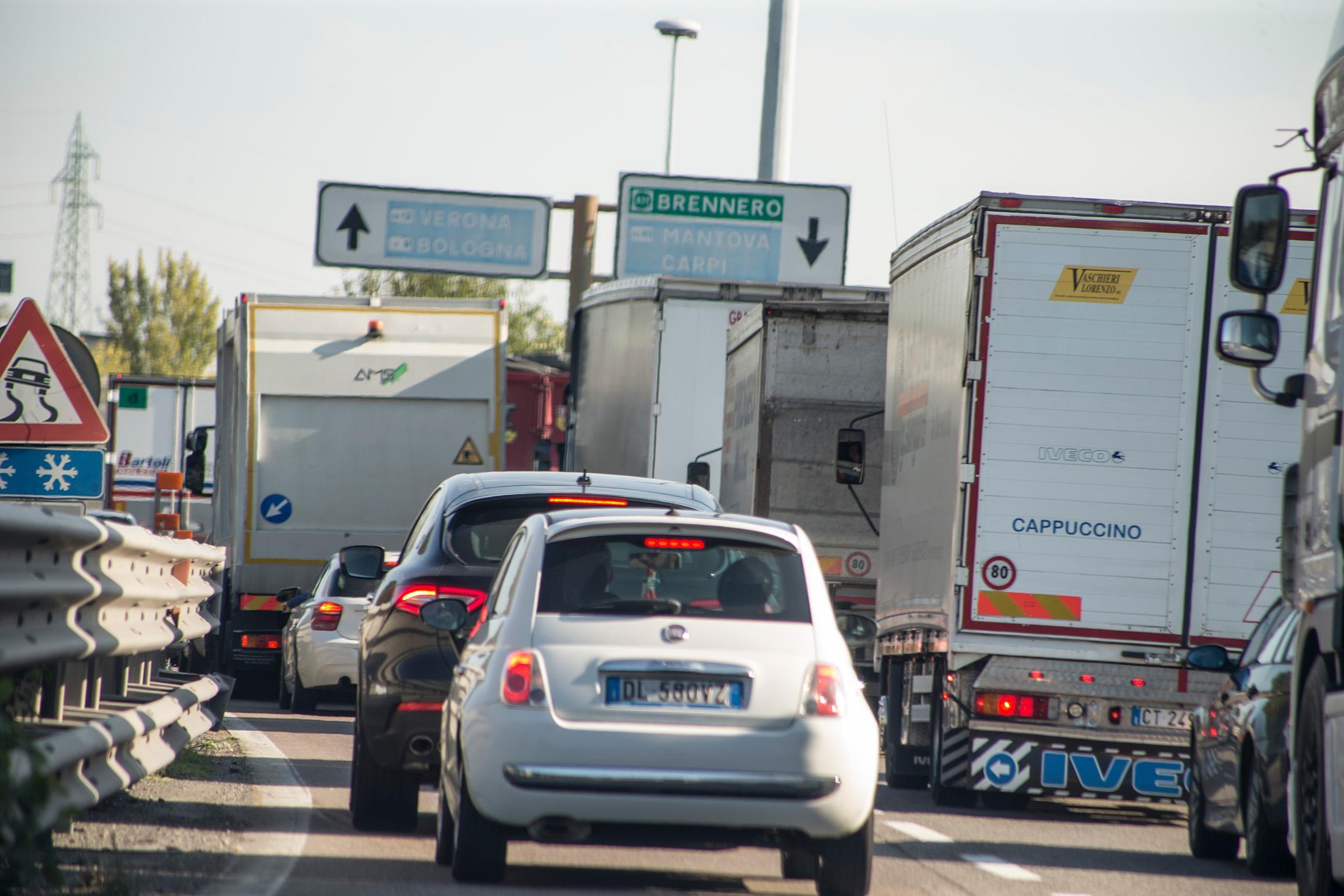 Modena: cavallo a passeggio lungo la tangenziale