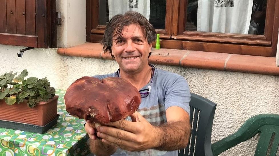 Superporcini nei boschi di Serra scovati da tre esperti cercatori