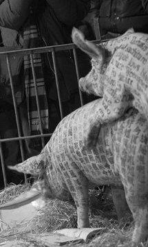 “A Ciambra” di Jonas Carpignano rappresenterà l’Italia agli Oscar 