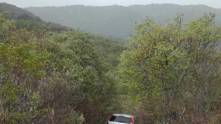 Anziano scomparso nella foresta di Lithos ritrovato nella notte