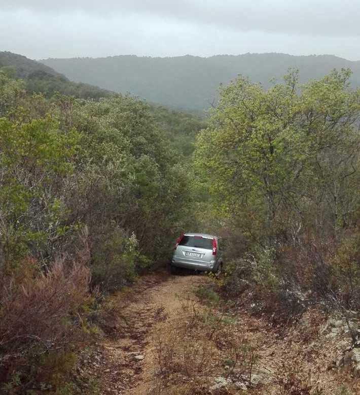 Anziano scomparso nella foresta di Lithos ritrovato nella notte 