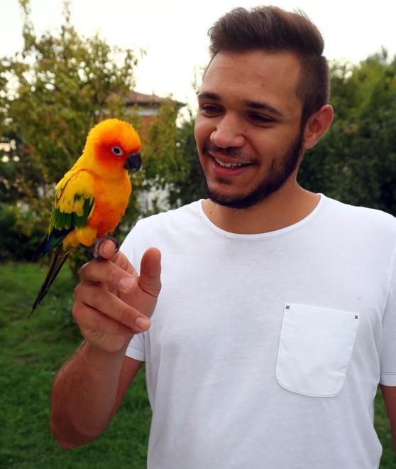 Il giovane che addestra pappagalli 