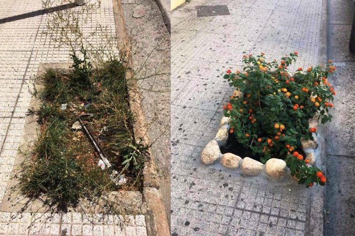 L'aiuola com'era e come è stata trasformata dal volenteroso cittadino