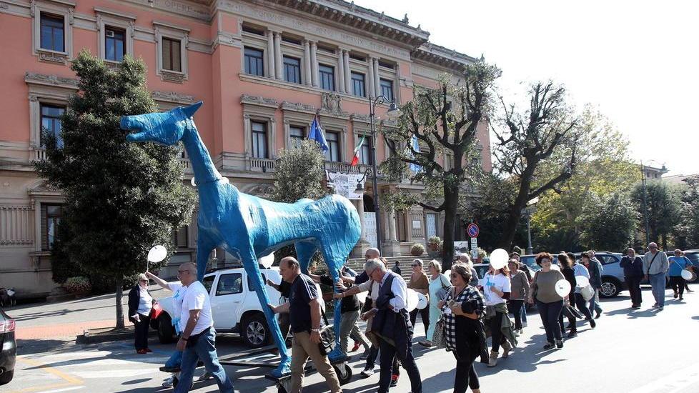 “Marco Cavallo” galoppa dal Comune al Tettuccio