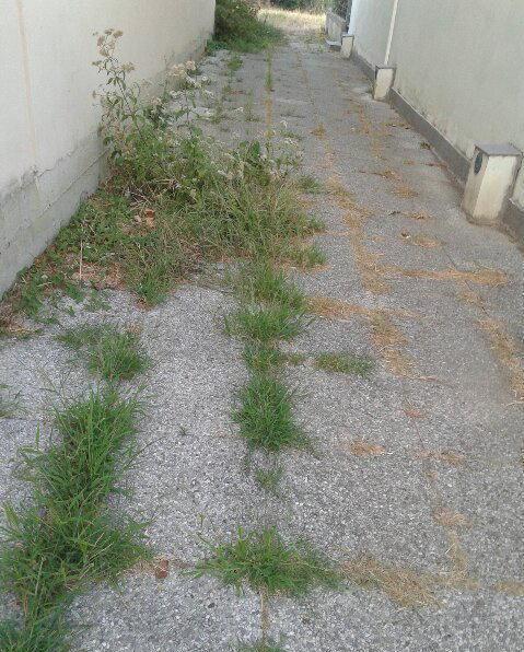  A Borgo Cassola (Veneri) scarsa manutenzione e parcheggi selvaggi