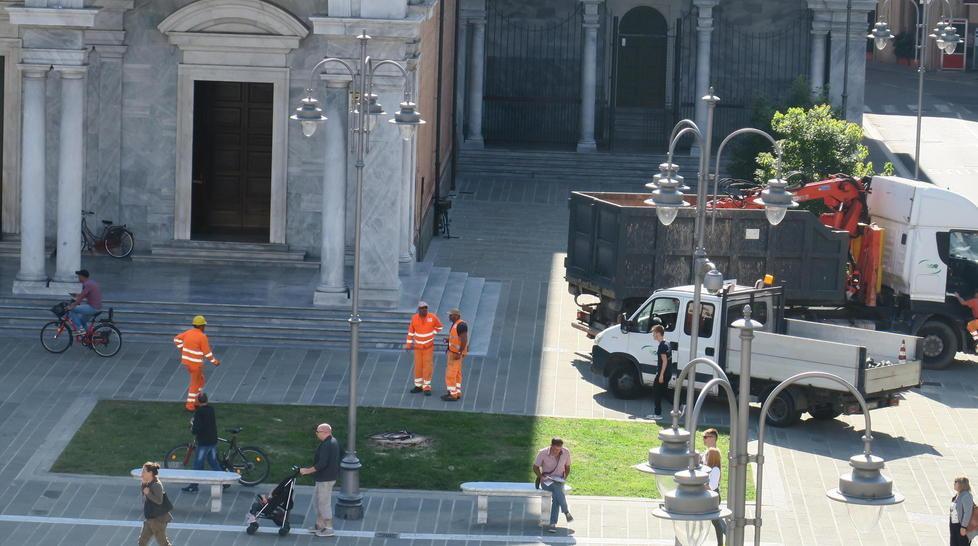 Un’altra palma abbattuta davanti al Duomo