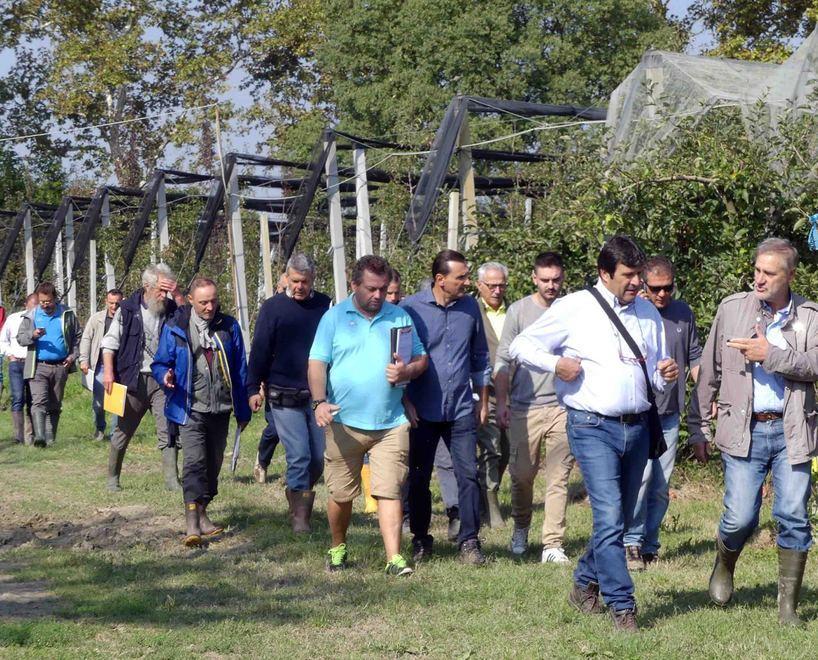 Alberi da frutto, le innovazioni per migliorare la qualità