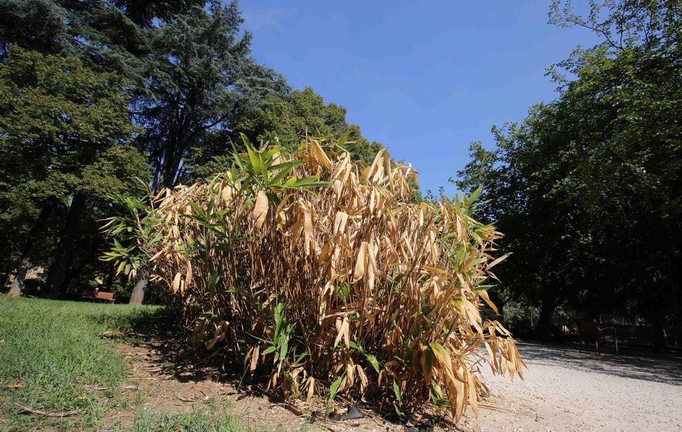 Carenza d’acqua, un altro record negativo 