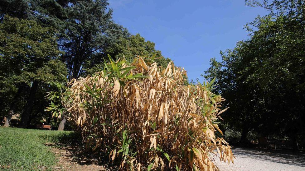 Carenza d’acqua, un altro record negativo
