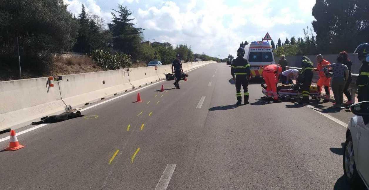 Travolge cane e si rompe una gamba