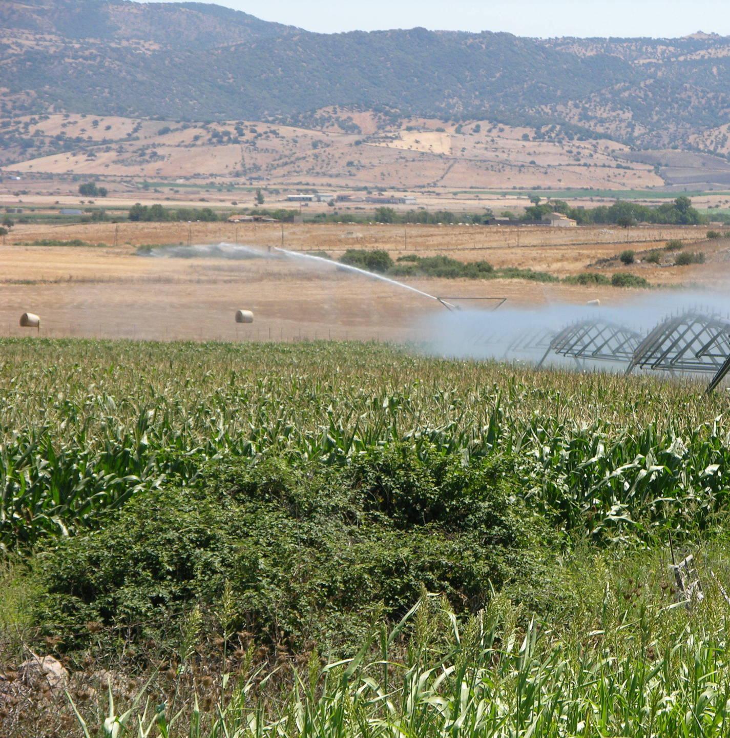 Il futuro dell’agricoltura nella due giorni di Giave 
