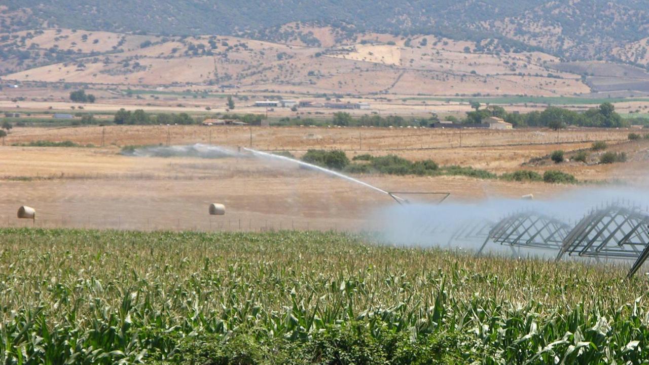 Il futuro dell’agricoltura nella due giorni di Giave