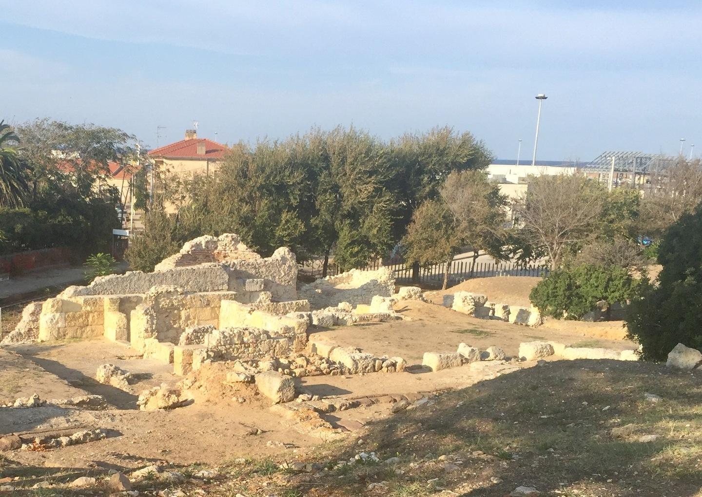 Essenze e nuovi pannelli nell’area archeologica 