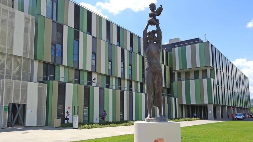 Epatite A, 13 casi in pochi giorni i medici a caccia dell’infezione