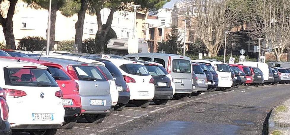 Lungarno Guadalongo, lavori conclusi e strisce blu già attive 