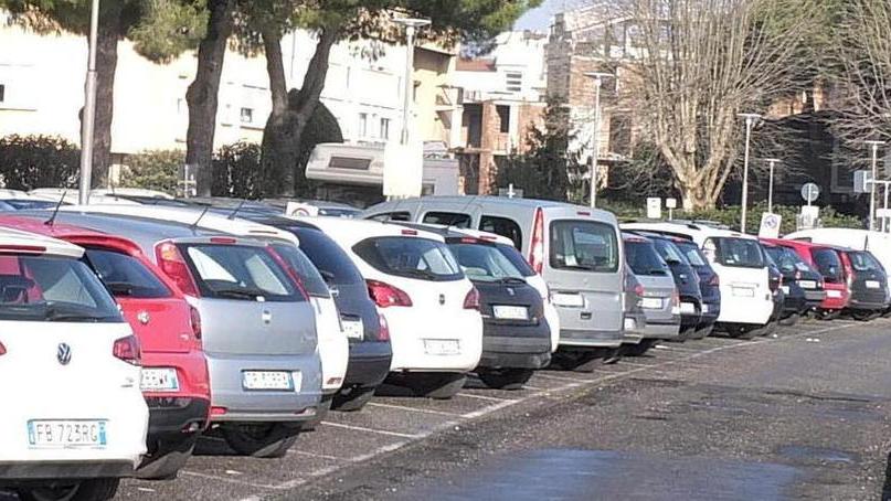 Lungarno Guadalongo, lavori conclusi e strisce blu già attive