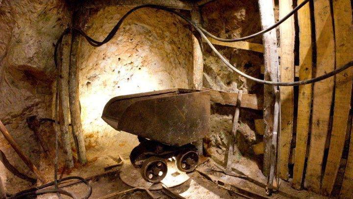 Il professor Pizzetti alla guida del Parco
