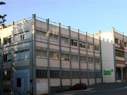 «La Provincia obbligata a chiudere il Fermi» 