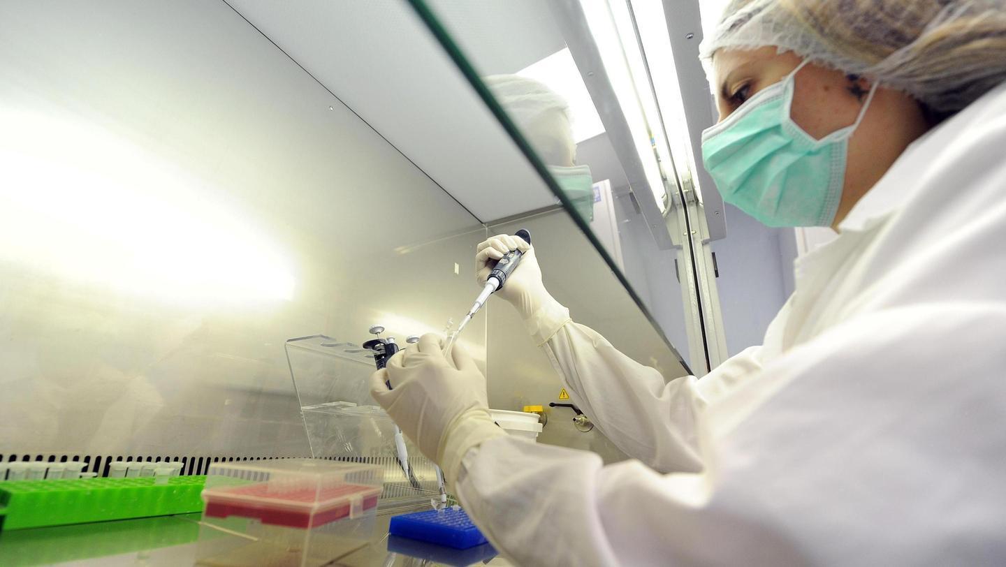 «Basta, restituiteci il nostro Dna» La protesta dei sindaci ogliastrini 